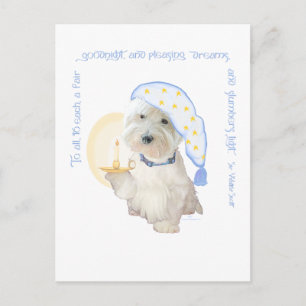 Goedenacht Blauw Briefkaart
