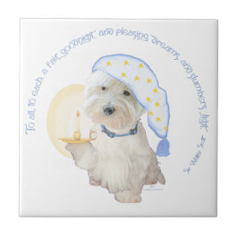 Goedenacht Blauw Tegeltje