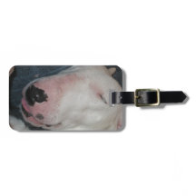 Goedenacht, Slaap Lekker, Domme Hond