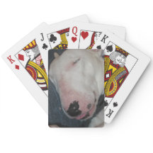Goedenacht, Slaap Lekker, Domme Hond