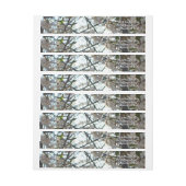 Goedenavond Cherry Blossom II Spring Sunset (Vel)