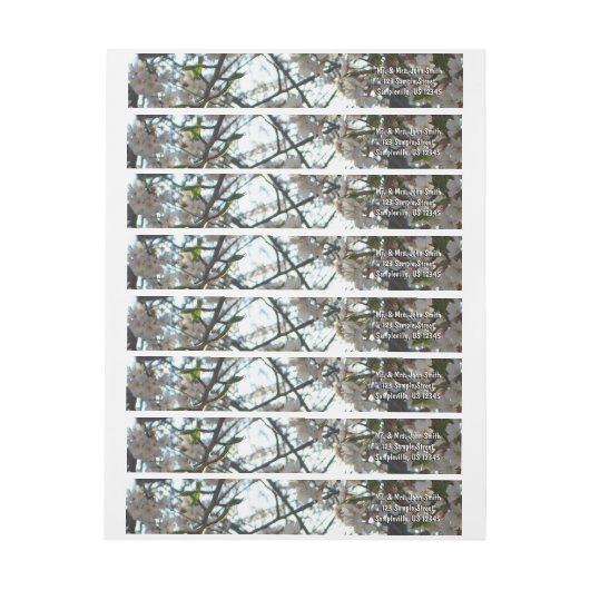 Goedenavond Cherry Blossom II Spring Sunset (Vel)