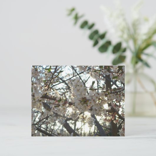 Goedenavond Cherry Blossom II Spring Sunset Briefkaart (Staand voorkant)