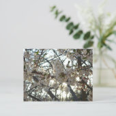 Goedenavond Cherry Blossom II Spring Sunset Briefkaart (Staand voorkant)