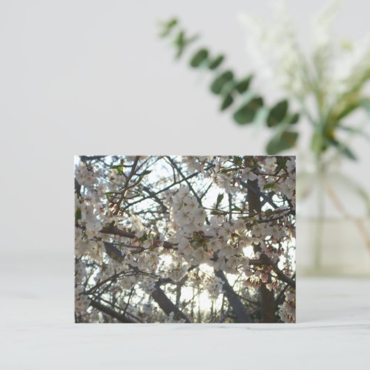 Goedenavond Cherry Blossom II Spring Sunset Briefkaart (Staand voorkant)