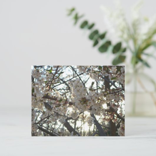 Goedenavond Cherry Blossom II Spring Sunset Briefkaart (Staand voorkant)