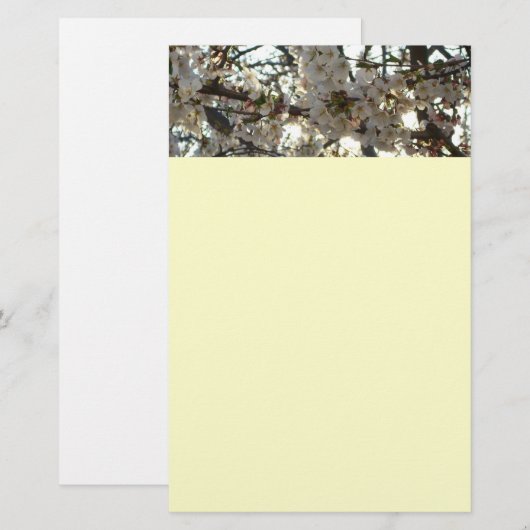 Goedenavond Cherry Blossom II Spring Sunset Briefpapier (Voorkant / Achterkant)