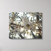 Goedenavond Cherry Blossom II Spring Sunset Canvas Afdruk (Voorkant)