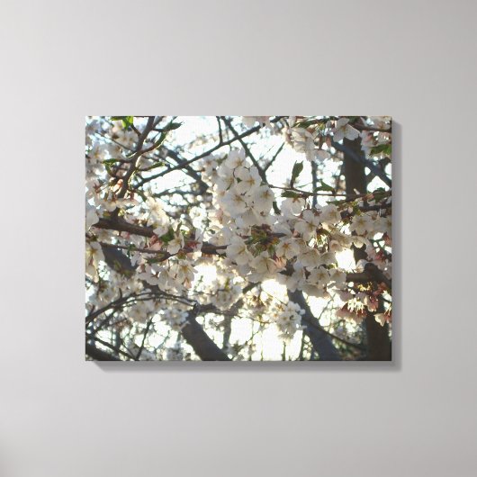 Goedenavond Cherry Blossom II Spring Sunset Canvas Afdruk (Voorkant)