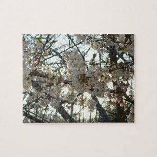 Goedenavond Cherry Blossom II Spring Sunset Legpuzzel