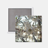 Goedenavond Cherry Blossom II Spring Sunset Magneet (Voorkant / Achterkant)