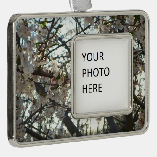 Goedenavond Cherry Blossom II Spring Sunset Verzilverd Omlijst Ornament (Rechts)