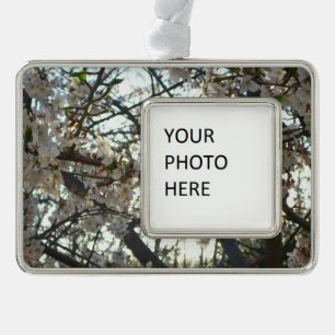 Goedenavond Cherry Blossom II Spring Sunset Verzilverd Omlijst Ornament