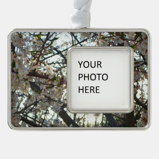 Goedenavond Cherry Blossom II Spring Sunset Verzilverd Omlijst Ornament (Voorkant)