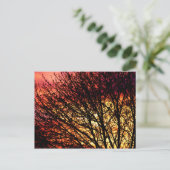 Goedenavond lichte blanco notiecard briefkaart (Staand voorkant)