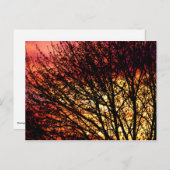 Goedenavond lichte blanco notiecard briefkaart (Voorkant / Achterkant)