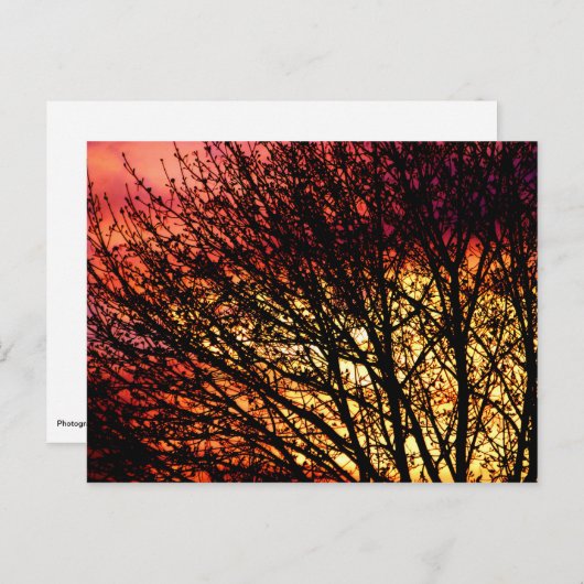 Goedenavond lichte blanco notiecard briefkaart (Voorkant / Achterkant)