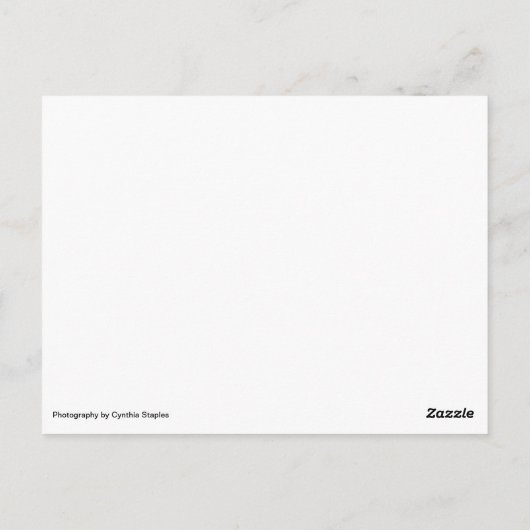 Goedenavond lichte blanco notiecard briefkaart (Achterkant)