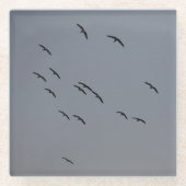 Goedenavond vlucht glazen onderzetter (Voorkant)