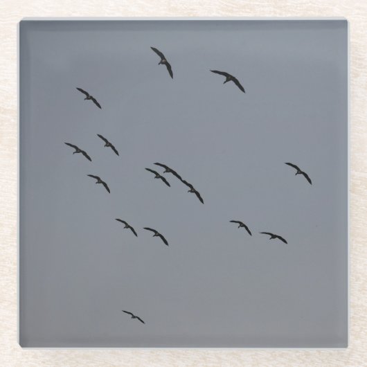 Goedenavond vlucht glazen onderzetter (Voorkant)