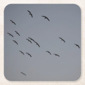 Goedenavond vlucht kartonnen onderzetters (Voorkant)