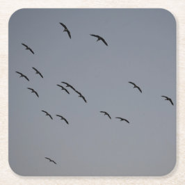 Goedenavond vlucht kartonnen onderzetters