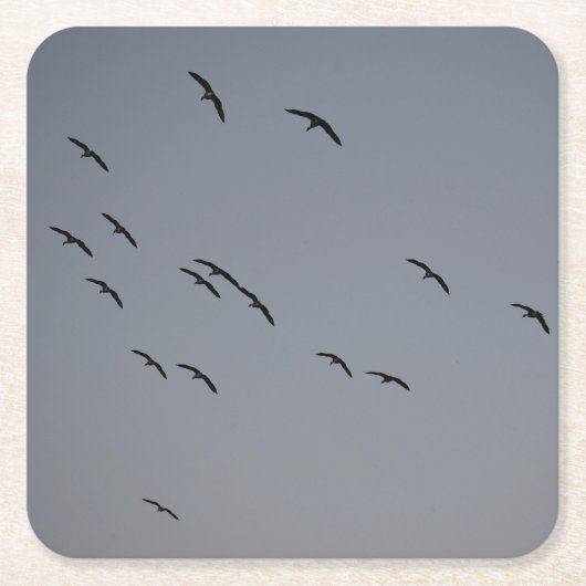 Goedenavond vlucht kartonnen onderzetters (Voorkant)