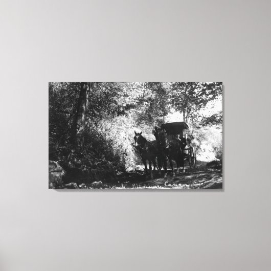 Goederenpaarden die een pauze nemen canvas afdruk (Voorkant)