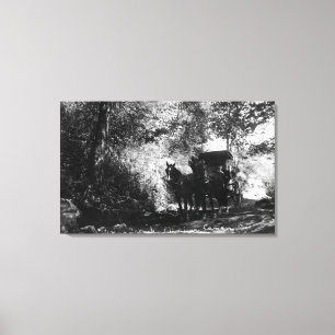 Goederenpaarden die een pauze nemen canvas afdruk