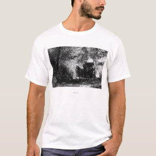 Goederenpaarden die een pauze nemen t-shirt