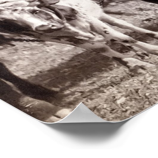 GOEDERENTREIN c. 1887 Poster (Hoek)