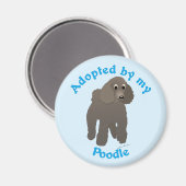 Goedgekeurd door mijn portaal magneet (Voorkant / Achterkant)