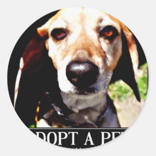 Goedkeuren apet, we hebben liefde te nodig_ ronde sticker