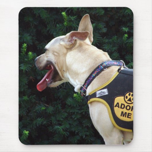 Goedkeuren Muismat (Voorkant)