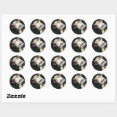 Goedkeuren Ronde Sticker (Vel)