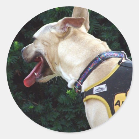 Goedkeuren Ronde Sticker (Voorkant)