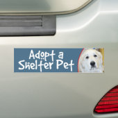 Goedkeuren van de Grote Pyreneeën van de Pet Shelt Bumpersticker (Op auto)