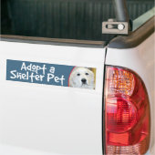 Goedkeuren van de Grote Pyreneeën van de Pet Shelt Bumpersticker (Op Truck)