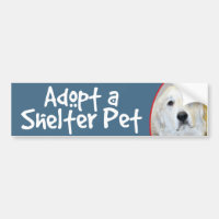 Goedkeuren van de Grote Pyreneeën van de Pet Shelt