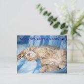 Goedkeuren van een Briefkaart van de reddingskat (Staand voorkant)