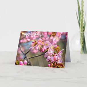 Goedkope cascade van Sakura Flowers op een lenteda Kaart