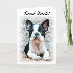 Goedkope Franse Bulldog puppy card Kaart