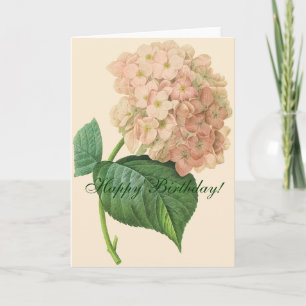 Goedkope waterbloem kaart