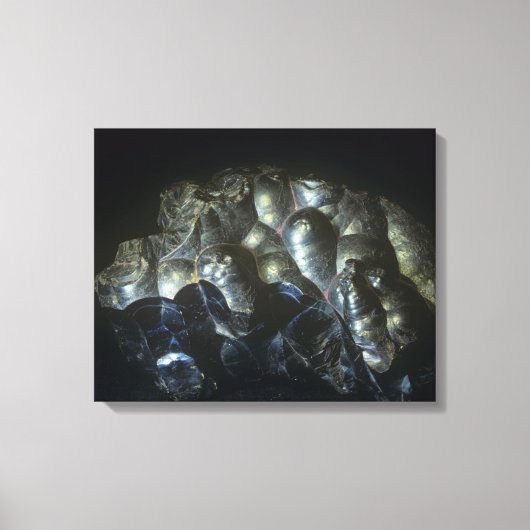 Goethiet is een belangrijke ijzererts canvas afdruk (Voorkant)