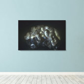 Goethiet is een belangrijke ijzererts canvas afdruk (Insitu (Houten vloer))