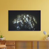 Goethiet is een belangrijke ijzererts canvas afdruk (Insitu (Woonkamer))