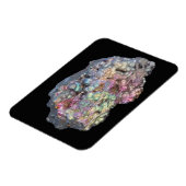 Goethite toont irdescentie magneet (Linkerzijde)