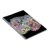 Goethite toont irdescentie notitieboek (Rechterzijde)