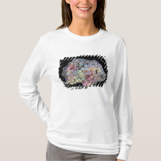 Goethite toont irdescentie t-shirt