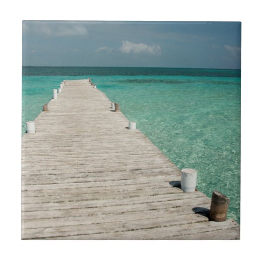 Goff Caye, een populair Barrier Reef-eiland Tegeltje (Voorkant)